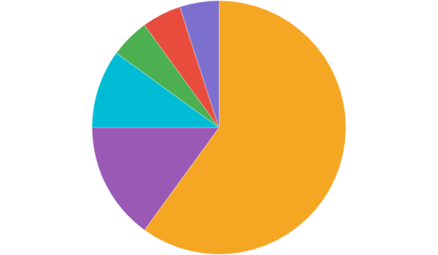 KANG token distribution pie chart